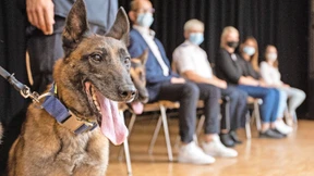 Wie Brix Handys und Drogen findet