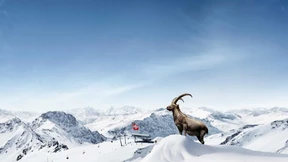 Schweiz pur genießen