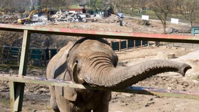 Ein neues Zuhause für langlebige Bewohner