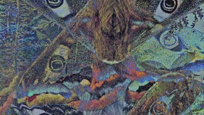 Alle im Dorf schauen auf die Wessis herab