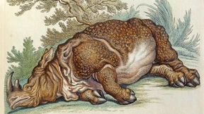 Lektüre über Lektüren