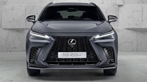 Die frische Liebe zum Hybrid