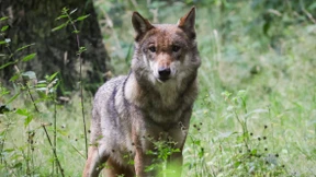 „Menschen halten keinen Abstand“