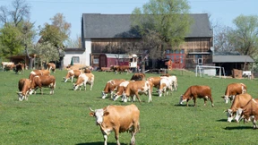 Die große Bio-Illusion