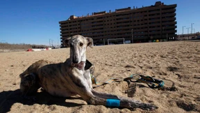 Die Schrottwohnungen im Inneren Spaniens