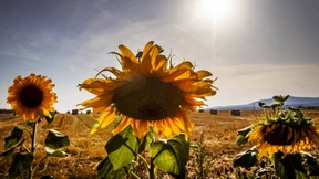 Deutschland mit am stärksten von Klimaschäden betroffen