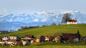 Grüne in Südwest sprechen von „neuer Qualität“