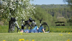 So schützen Sie sich vor Zecken
