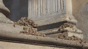 Spätmittelalte Männer träumen von alten Reichen