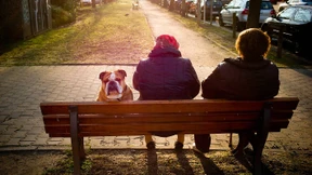 So kassiert das Finanzamt nicht die Lebensversicherung