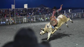 Vergessene Helden im Staub 