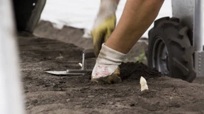 Da wird der Landwirt zum Papierwirt