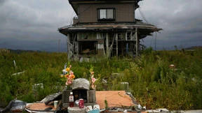 Natur erobert Geisterstädte zurück