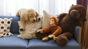 Eine Kindheitsgeschichte des Sachensuchens