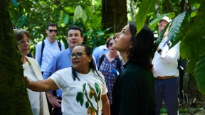 Wo es beim Schutz des Regenwalds hakt