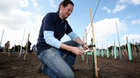 Hessischer Winzer erntet Wein auf Sylt