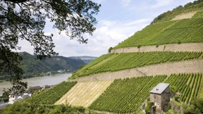 „Der alpinste Teil außerhalb der Alpen“ 