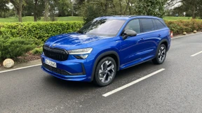 Der Bär ist wieder los