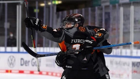 Das Gesicht der Grizzlys