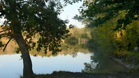 Wald, Waldenser, Oberwaldberg