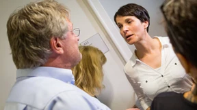 Die verspätete Partei