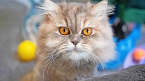 EQT verbreitet Zuversicht