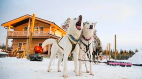 Beim Weihnachtsmann daheim