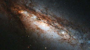 Massenmonster lenken Sternentstehung