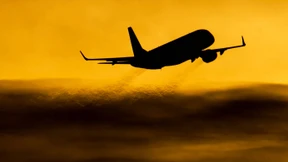 Einunddreißig Flugbegleiter