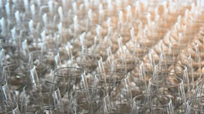 2024 ist für die VDP-Weine ein guter, aber kleiner Jahrgang