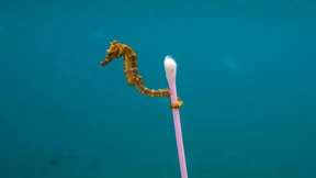 Euer Müll – unser Problem?