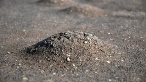 Gefährliche Hitzeschäden auf der Autobahn