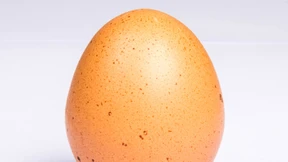 Sollten wir mehr Eiweiß essen?