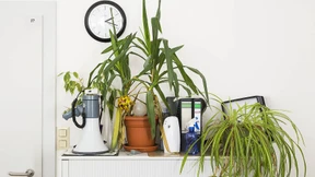 Über Renten und Pensionen