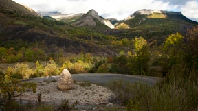 Haare lassen für die Kunst  