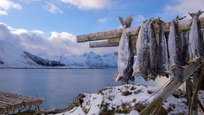 Wo Smalhans Küchenmeister ist