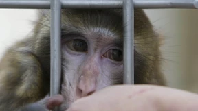 Das muss uns die Gesundheit des Menschen wert sein