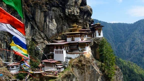 Passen tausend Touristen in ein Tigernest?