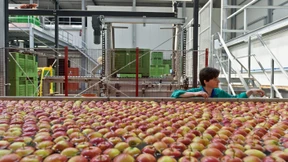 EU hilft Obstbauern gegen Russland