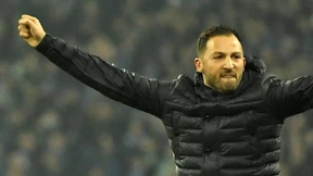 Schalke-Trainer lobt Köln nach großem Kampf