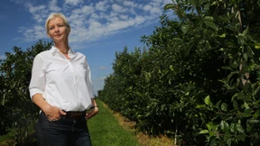 Wein, Wein, du allein