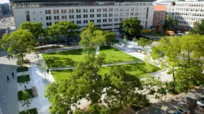 Und Berlin wird doch grün