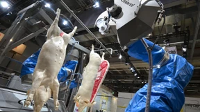 Mit roter Farbe gegen Leitmesse der Fleischwirtschaft