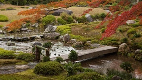 Wie ein japanischer Garten für Entspannung sorgt