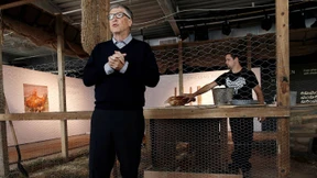 Bolivien will keine Hühner-Spende von Bill Gates