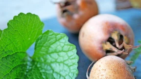 Wilde Helden am Wegesrand