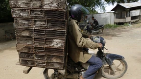 8,7 Millionen Euro für Umsiedlung eines Flüchtlings