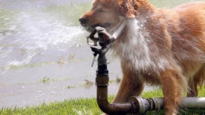 Wieder ist Bad Nauheim der heißeste Ort in Deutschland