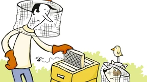 Bienen, wo seid ihr?