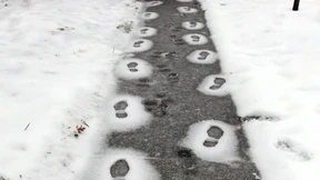 Wie wird denn nun der Winter?